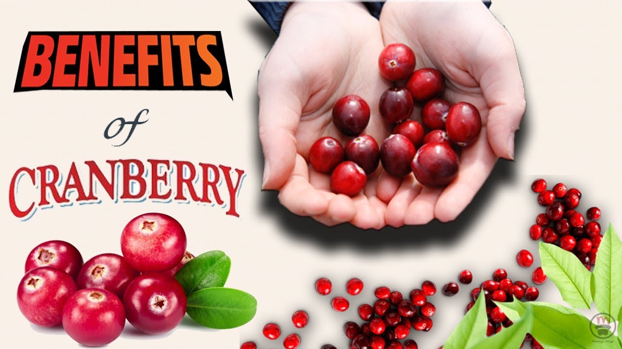 Health Benefits of Cranberry, the must-have winter superfoods