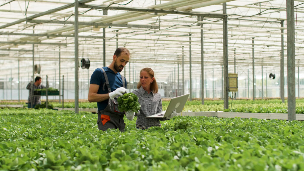 Technology in Agriculture: Discuss innovations in technology that are transforming agriculture